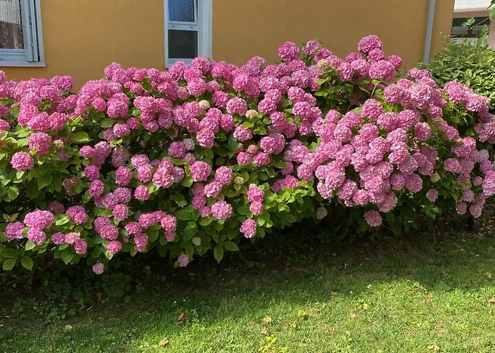 Residenza Viel